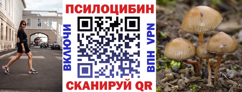 сколько стоит  дарк нет состав  Галлюциногенные грибы Psilocybine cubensis  Фокино  KRAKEN онион 